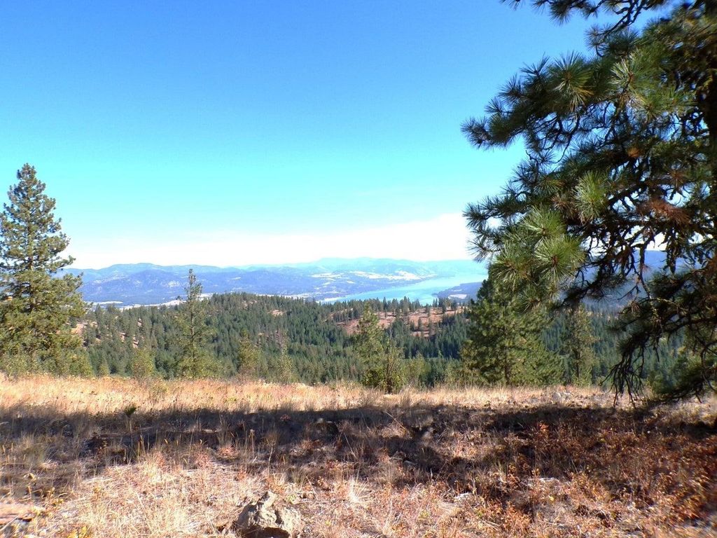 #L Morning Star Ln, Inchelium, WA 99138 photo 3