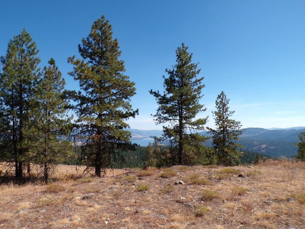 #L Morning Star Ln, Inchelium, WA 99138 photo 4
