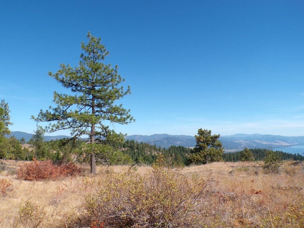 #L Morning Star Ln, Inchelium, WA 99138 photo 5