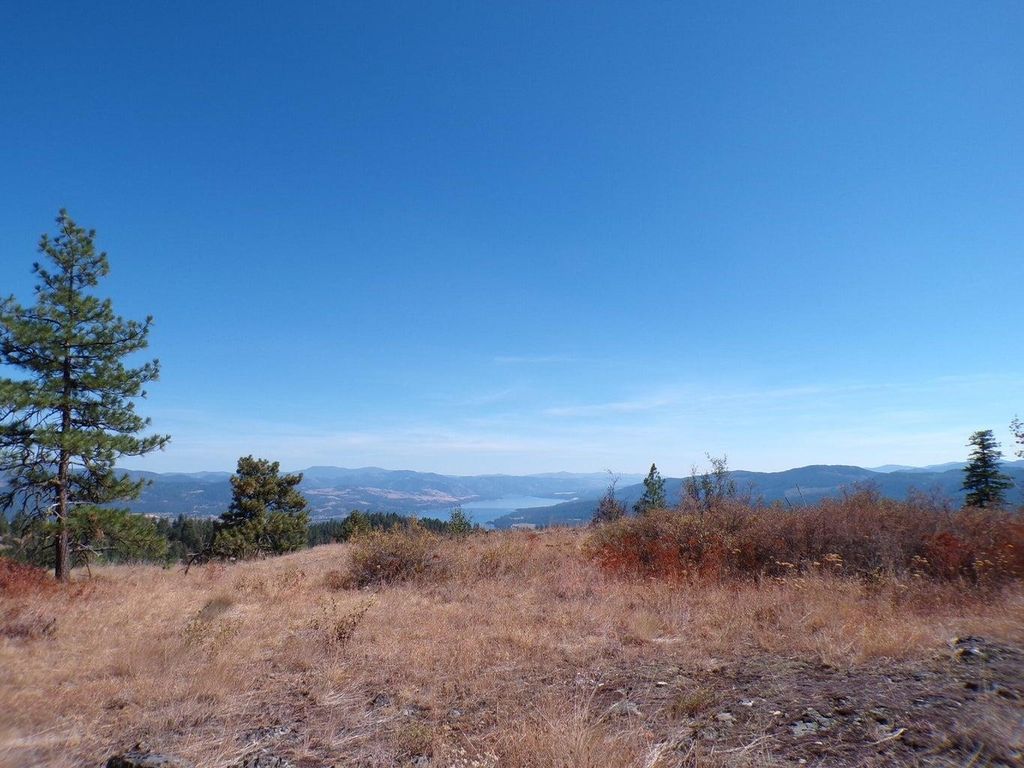 #L Morning Star Ln, Inchelium, WA 99138 photo 6