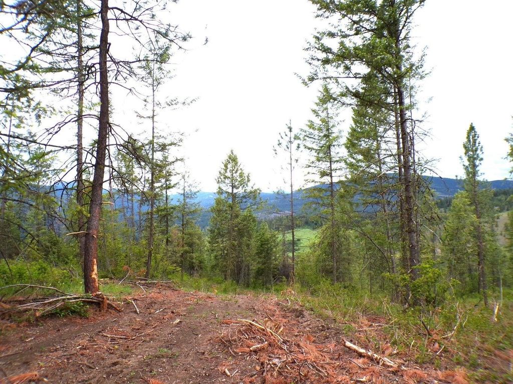 #L Morning Star Ln, Inchelium, WA 99138 photo 7