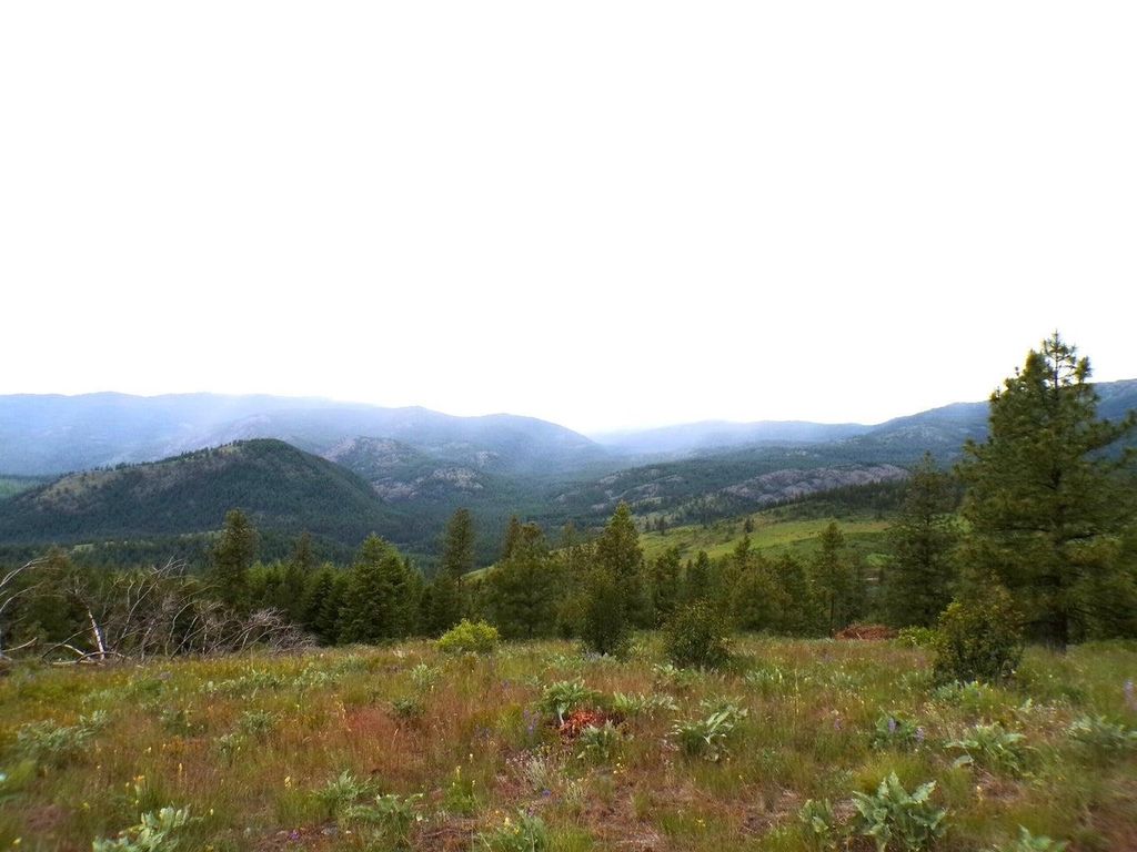 #L Morning Star Ln, Inchelium, WA 99138 photo 8
