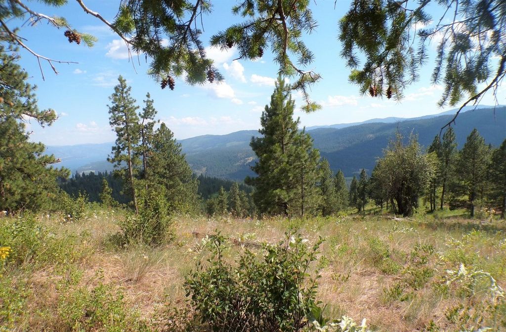#L Morning Star Ln, Inchelium, WA 99138 photo 9