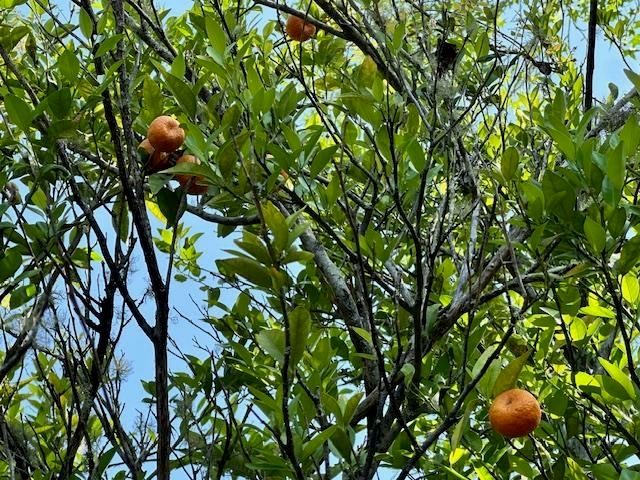 16437 NW County Road 12, Bristol, FL 32321