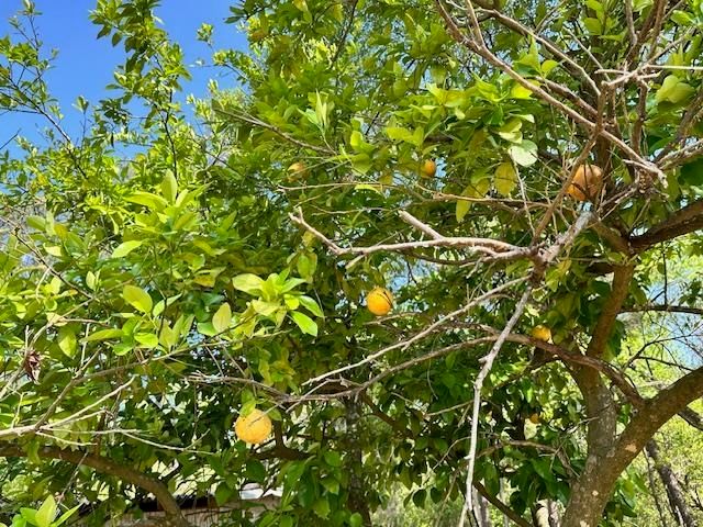 16437 NW County Road 12, Bristol, FL 32321