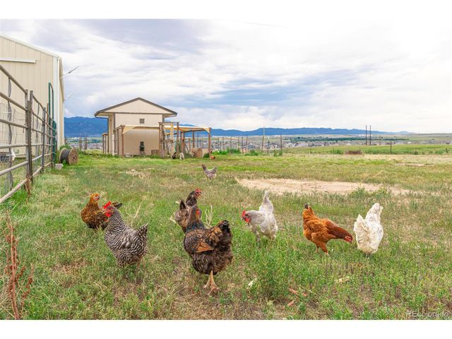 11170 Peaceful Valley Rd, Colorado Springs, CO 80925