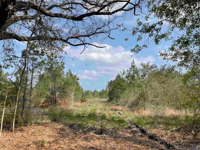Tract 12 Lorin Wall Rd, Holden, LA 70774