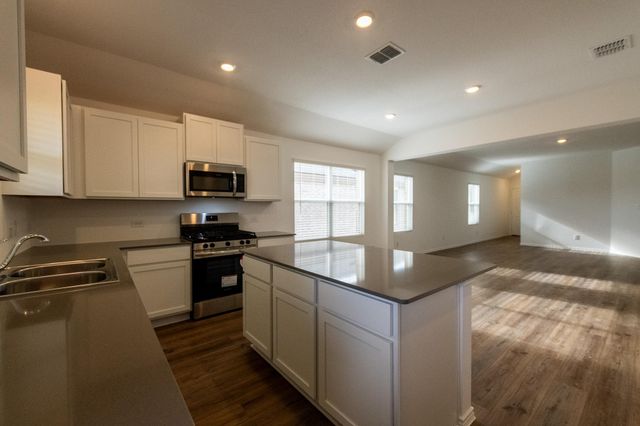 247 Alamito Ave, Kyle, TX 78640