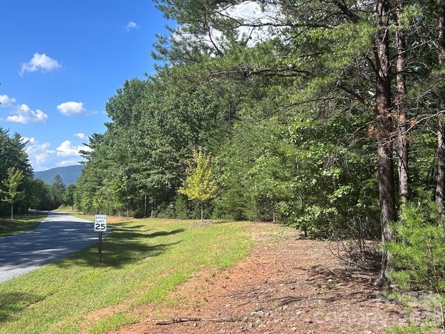 256 Beacon Ridge Drive 26-12, Nebo, NC 28761