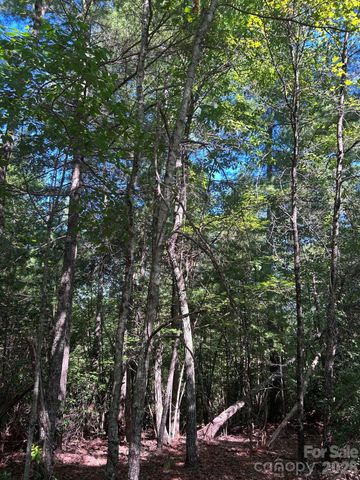 256 Beacon Ridge Drive 26-12, Nebo, NC 28761