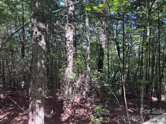 256 Beacon Ridge Drive 26-12, Nebo, NC 28761