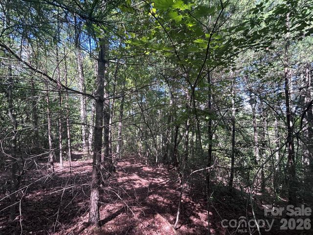 256 Beacon Ridge Drive 26-12, Nebo, NC 28761