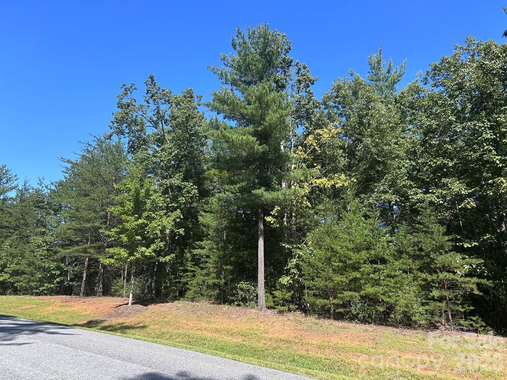 256 Beacon Ridge Drive 26-12, Nebo, NC 28761