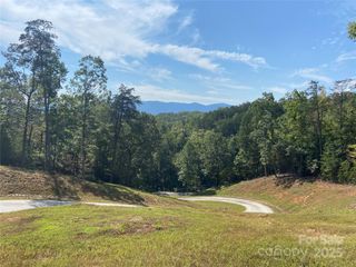 000 Ridgeland Way, Mill Spring, NC 28756