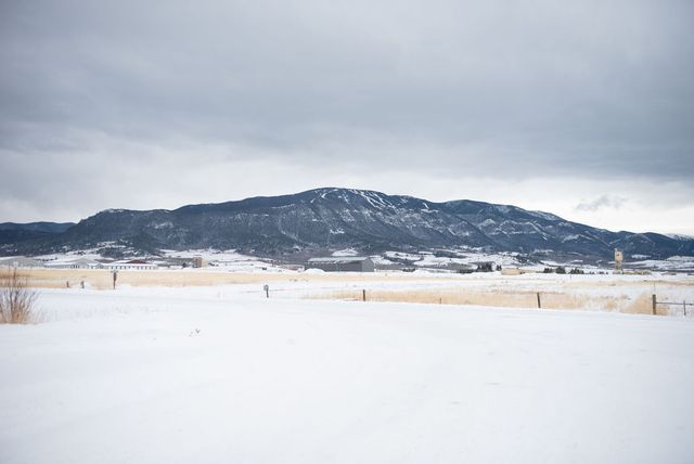 2909 Elderberry Avenue 7, Red Lodge, MT 59068