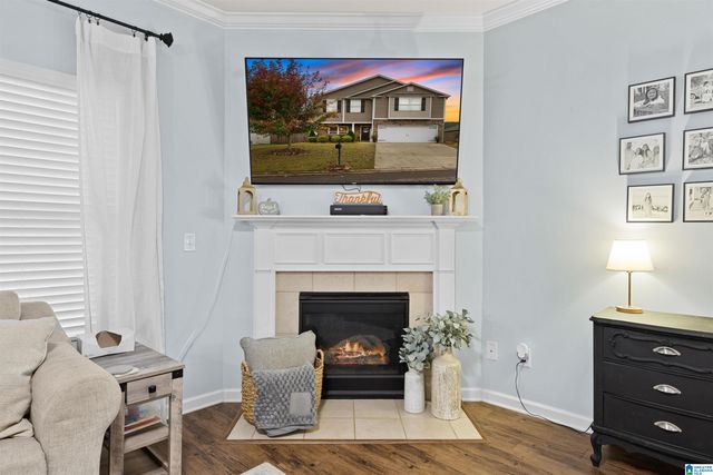 325 BLACKBERRY BOULEVARD, Springville, AL 35146