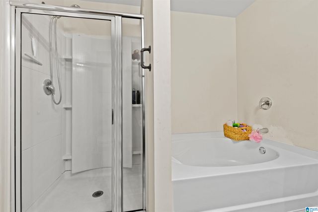 325 BLACKBERRY BOULEVARD, Springville, AL 35146