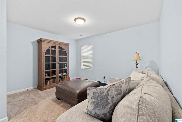 325 BLACKBERRY BOULEVARD, Springville, AL 35146