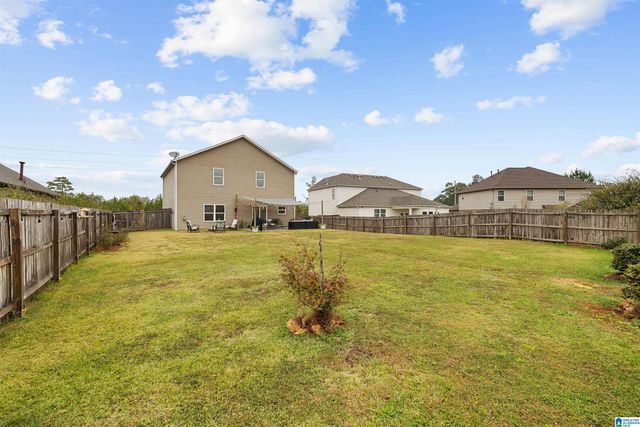 325 BLACKBERRY BOULEVARD, Springville, AL 35146