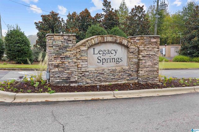 325 BLACKBERRY BOULEVARD, Springville, AL 35146