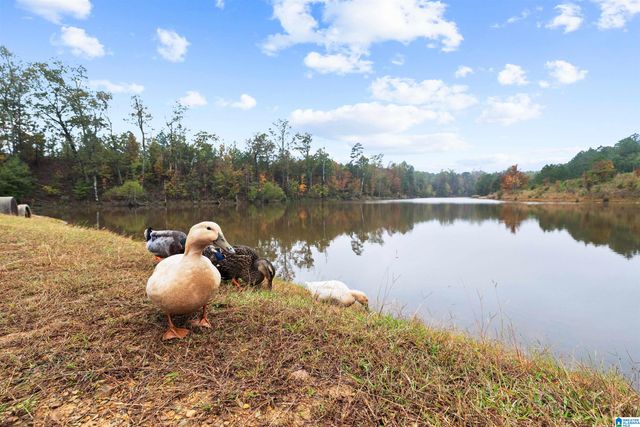 325 BLACKBERRY BOULEVARD, Springville, AL 35146