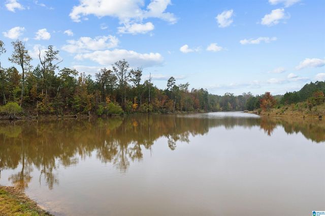 325 BLACKBERRY BOULEVARD, Springville, AL 35146