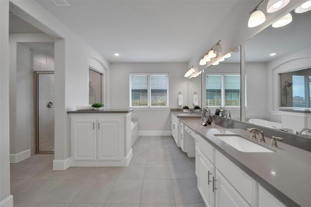 23935 Birchwood Lake Lane, Katy, TX 77493