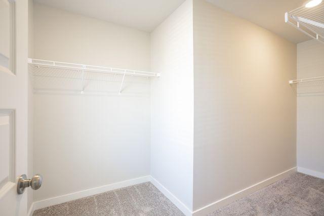 4509 Sardius Dr, Murfreesboro, TN 37128