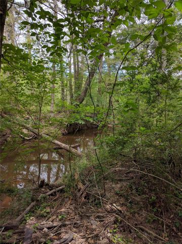 50 Jock Street, Livingston, TX 77351