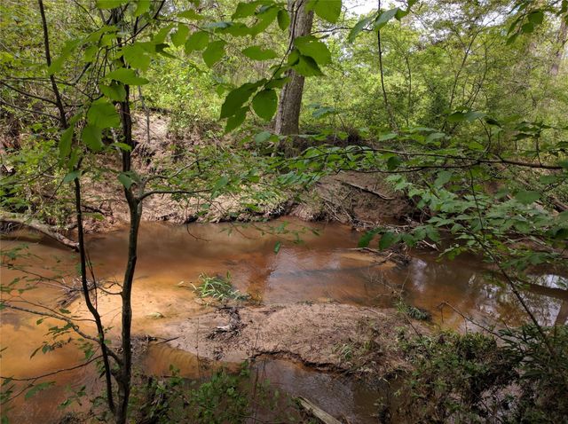 50 Jock Street, Livingston, TX 77351