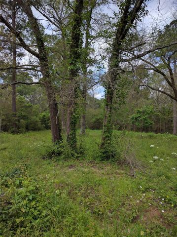 50 Jock Street, Livingston, TX 77351