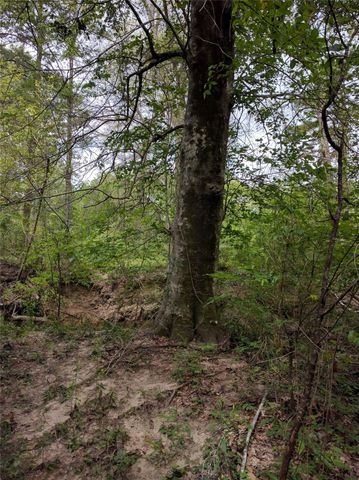 50 Jock Street, Livingston, TX 77351