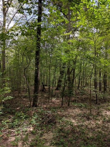 50 Jock Street, Livingston, TX 77351