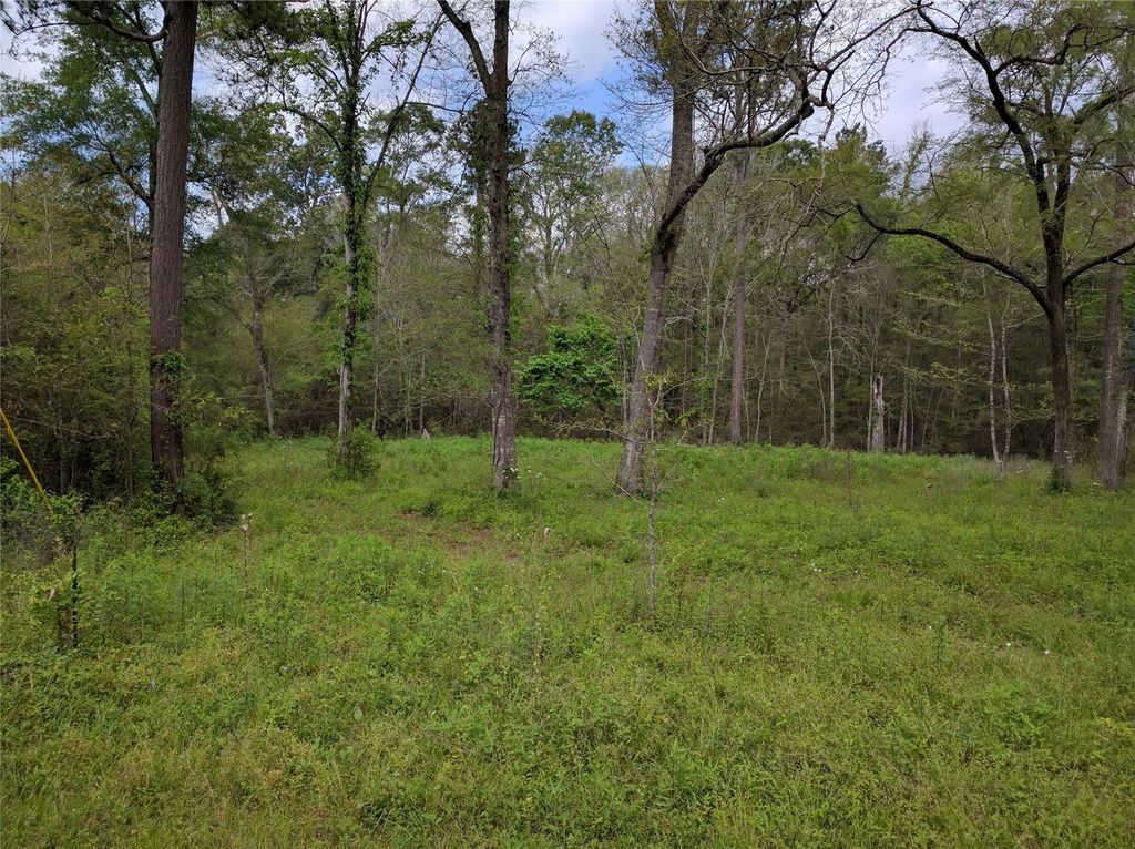 50 Jock Street, Livingston, TX 77351