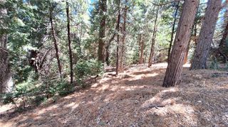 0 Cedar Pines, Cedarpines Park, CA 92322