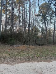 0 Forester, Livingston, TX 77351