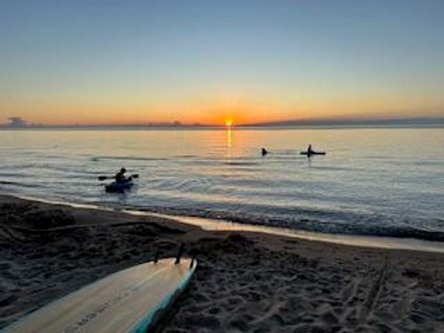 16344 Blossom Lane, Union Pier, MI 49129