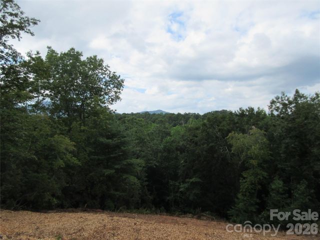 0 Levi Road, Columbus, NC 28722