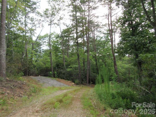 0 Levi Road, Columbus, NC 28722