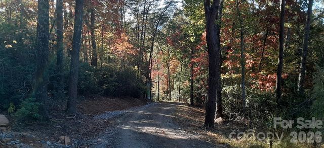 0 Levi Road, Columbus, NC 28722