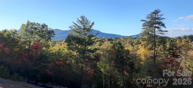 0 Levi Road, Columbus, NC 28722