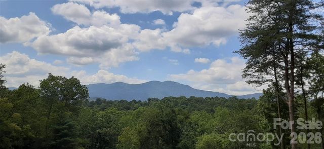 0 Levi Road, Columbus, NC 28722