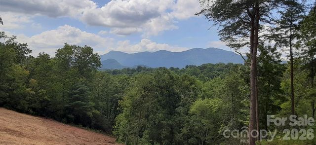 0 Levi Road, Columbus, NC 28722