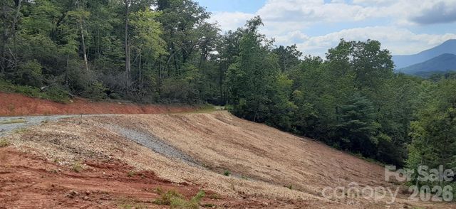 0 Levi Road, Columbus, NC 28722