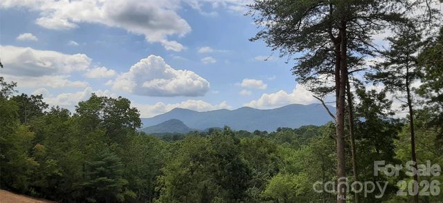 0 Levi Road, Columbus, NC 28722