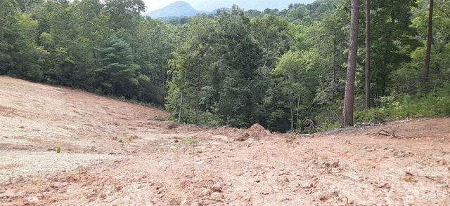 0 Levi Road, Columbus, NC 28722