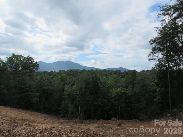 0 Levi Road, Columbus, NC 28722