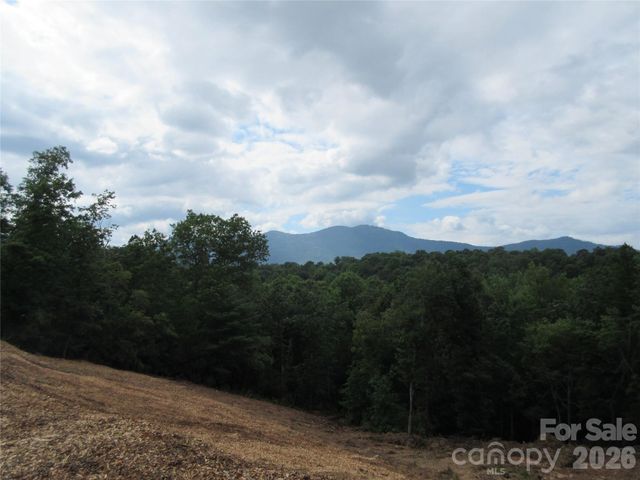 0 Levi Road, Columbus, NC 28722