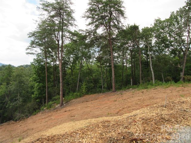 0 Levi Road, Columbus, NC 28722