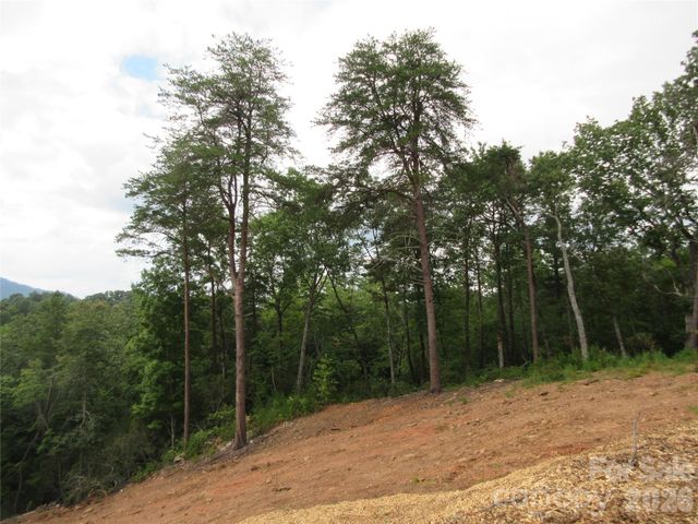 0 Levi Road, Columbus, NC 28722